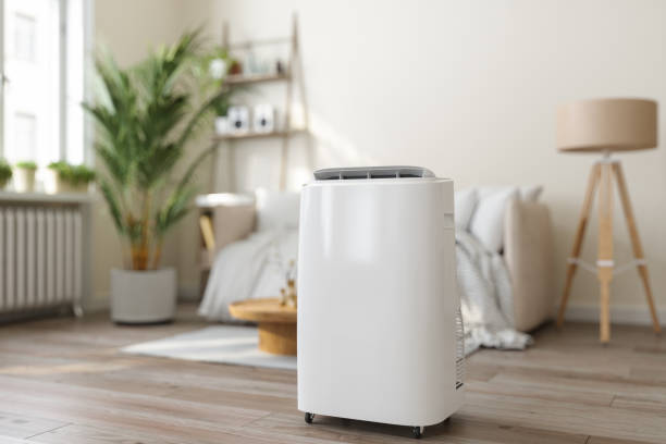 Best HVAC tune-up services  in Fyffe, AL
